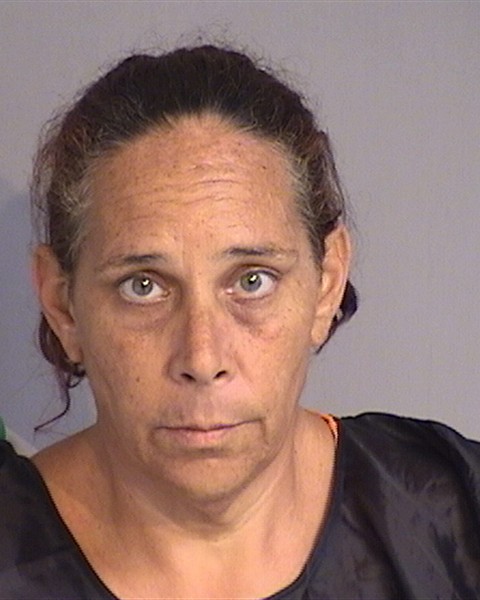 Booking photo - MARCY ANN RAPHAEL - Osceola, Florida