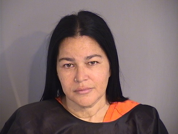 Booking photo - JANET BURGOS - Osceola, Florida