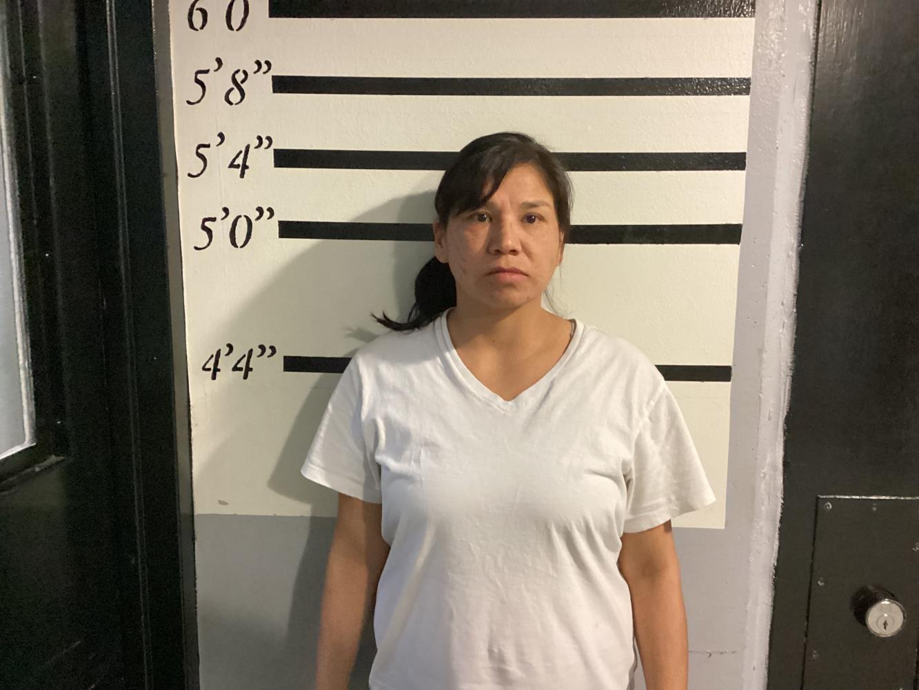 Booking photo - DAVIS MARY - Sequoyah, Oklahoma
