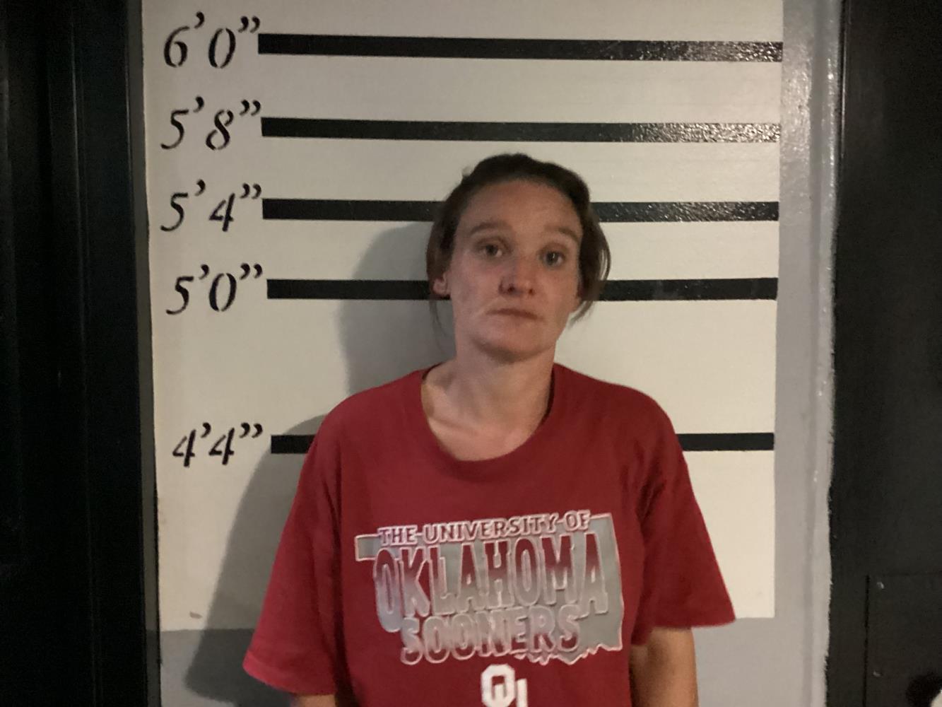 Booking photo - LEE FELICIA - Sequoyah, Oklahoma
