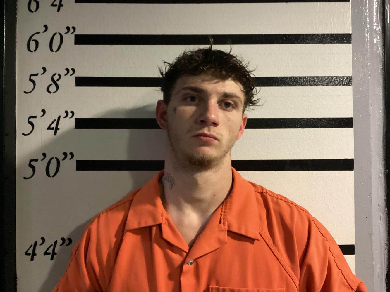 Booking photo - SKELTON ROBERT WAYNE - Sequoyah, Oklahoma