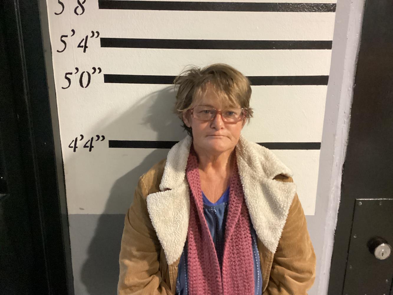 Booking photo - SMITH JOANN - Sequoyah, Oklahoma