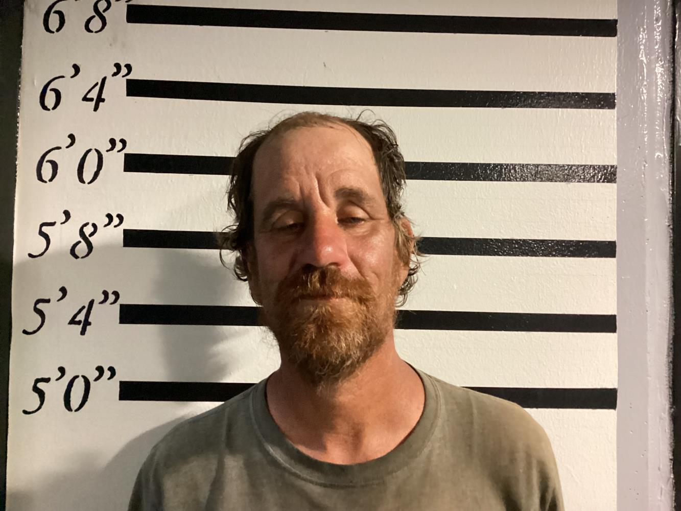 Booking photo - STRUCKS BRIAN LOUIS - Sequoyah, Oklahoma