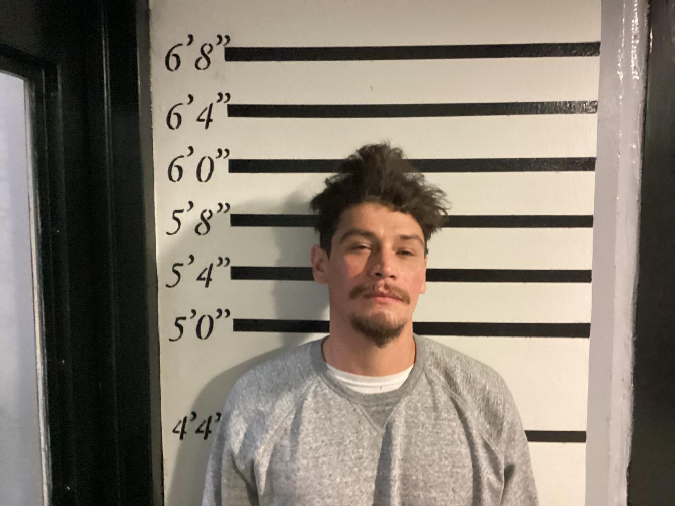 Booking photo - WALLIS DALTON - Sequoyah, Oklahoma