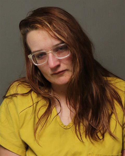 Booking photo - SAVANNAH RENEE ADAMS - Dublin, Virginia
