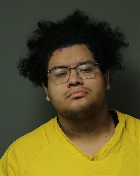 Booking photo - TOMAS JAIME ALVAREZ FLORES - Dublin, Virginia