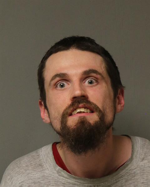 Booking photo - ALEXANDER DWIGHT AYERS - Dublin, Virginia