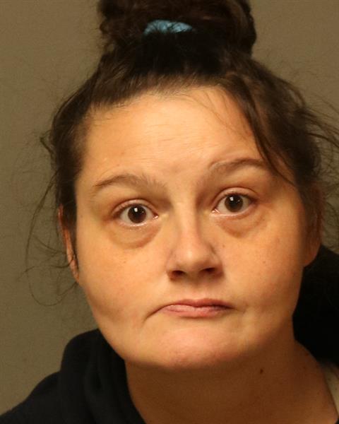 Booking photo - DENNA MARIE BLANKENSHIP - Dublin, Virginia