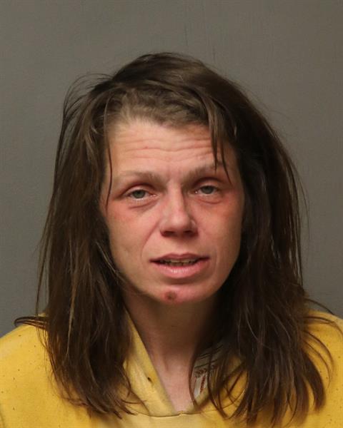 Booking photo - HEATHER RENEE BLANKENSHIP - Dublin, Virginia
