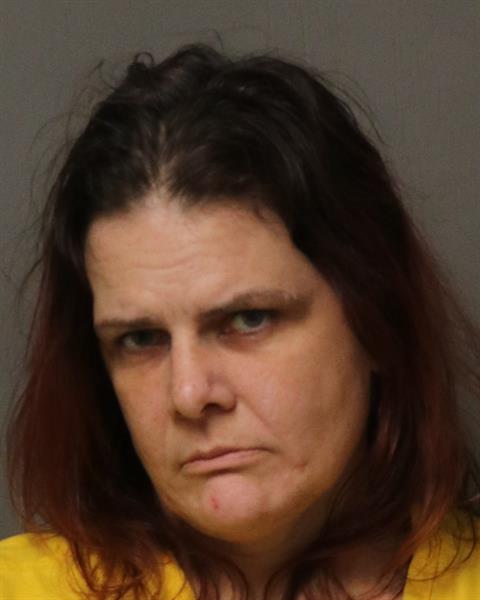 Booking photo of JENA DELLENA CAUDLE