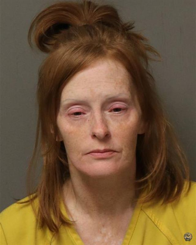 Booking photo of COOK, MICHELLE DAWN