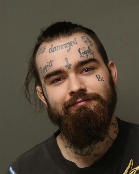 Booking photo - SKYLAR TODD DALTON - Dublin, Virginia