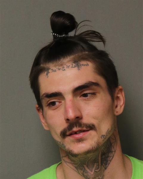 Booking photo - ZACHARY TYLER DAVIS - Dublin, Virginia