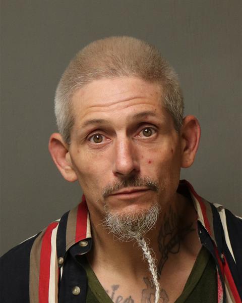 Booking photo - JESSIE PAUL DELOACH - Dublin, Virginia