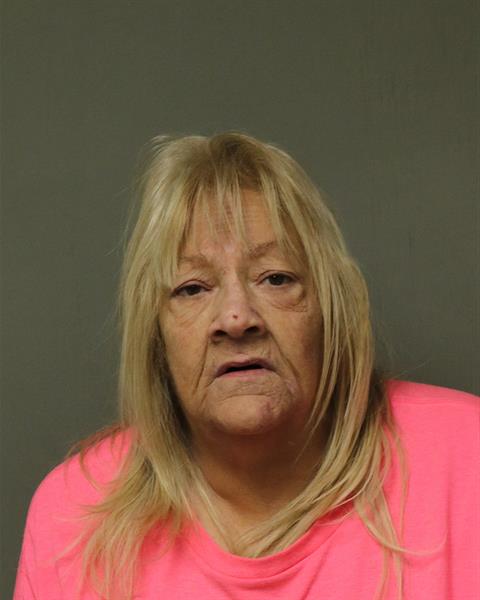 Booking photo - KAREN ANN DICKERSON - Dublin, Virginia