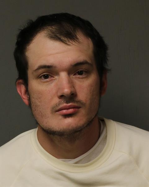 Booking photo - ESTEP, BRIAN ALLEN - Dublin, Virginia