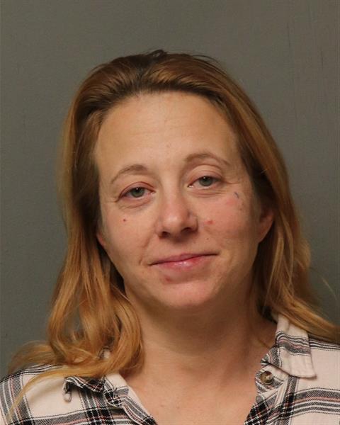 Booking photo - HEATHER LYNNE FEGLEY - Dublin, Virginia