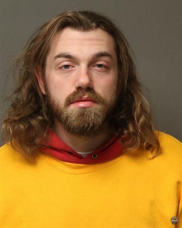 Booking photo of HAMPTON, AUSTIN LEE