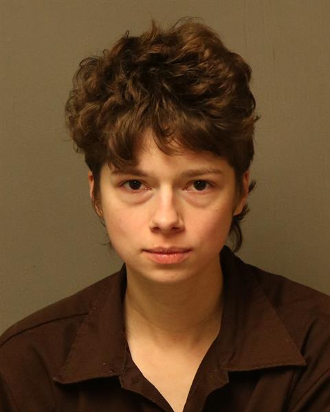 Booking photo - PATIENCE HOPE HARDING - Dublin, Virginia