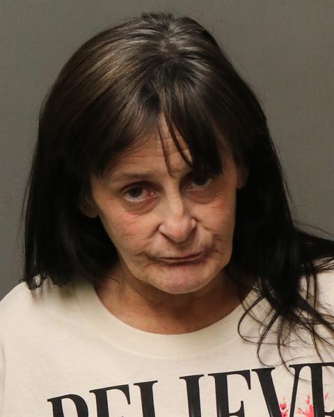 Booking photo - HAYNES, PEGGY LEE - Dublin, Virginia