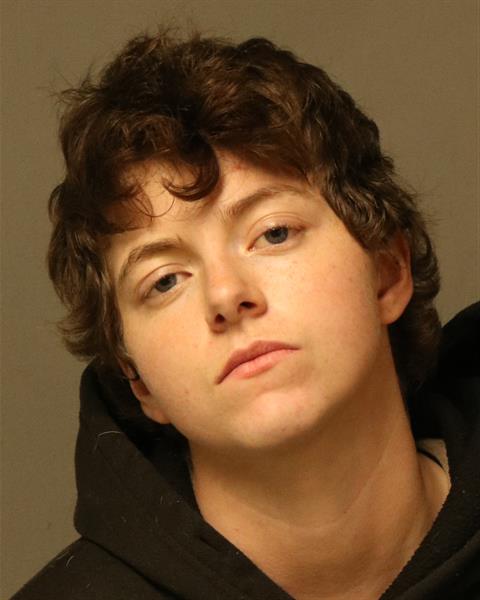 Booking photo - LAURA GRACE HOLBROOK - Dublin, Virginia