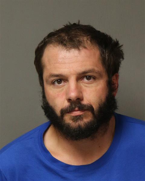 Booking photo - DYLAN LEWIS JONES - Dublin, Virginia