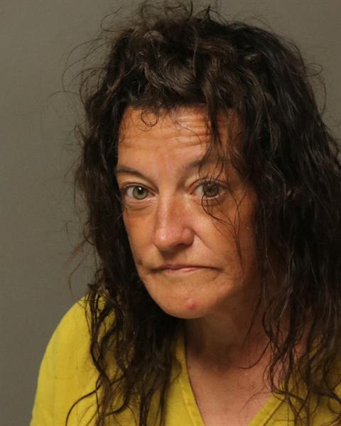 Booking photo of LYNN IONE JONES