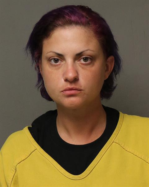 Booking photo - ASHLEY MARIE LEONARD - Dublin, Virginia