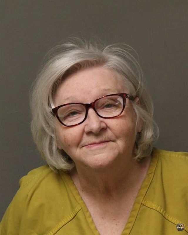 Booking photo of PAMELA GAIL LEWIS