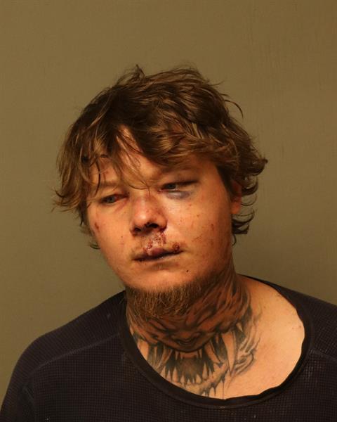 Booking photo - GAVIN JADE LINKOUS - Dublin, Virginia