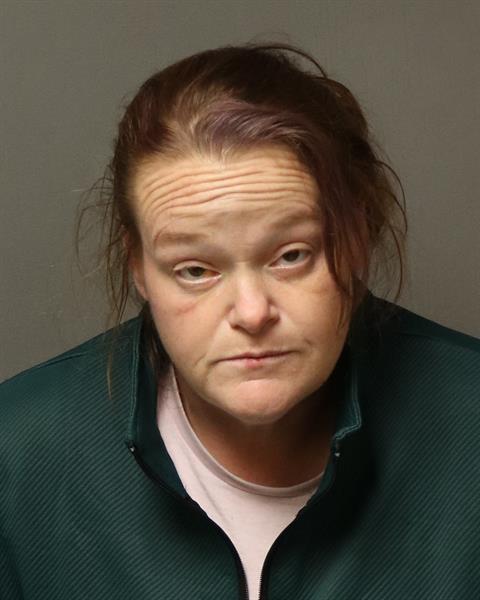 Booking photo - MARSHALL, SHEENA NESTER - Dublin, Virginia