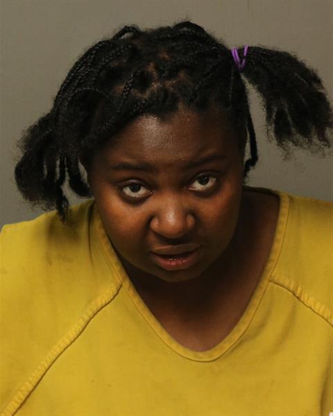 Booking photo - BRIANA LENISE MCCLAIN - Dublin, Virginia