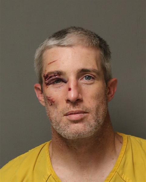 Booking photo - MCDANIEL, MATTHEW EWING - Dublin, Virginia