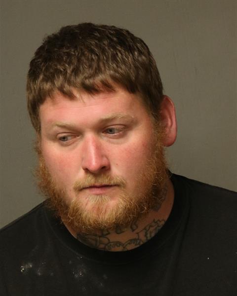 Booking photo - MCKEE, TYLER BENJAMIN - Dublin, Virginia