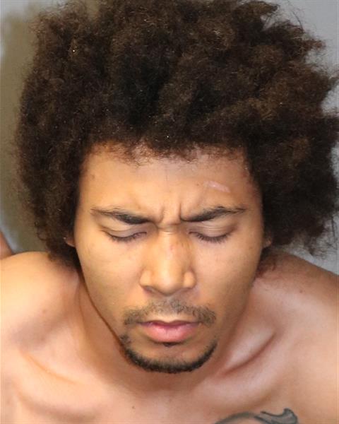 Booking photo - MCLAURIN, KAYLON GREGG - Dublin, Virginia