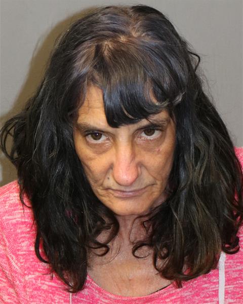 Booking photo - MELITA, LISA REGINA - Dublin, Virginia