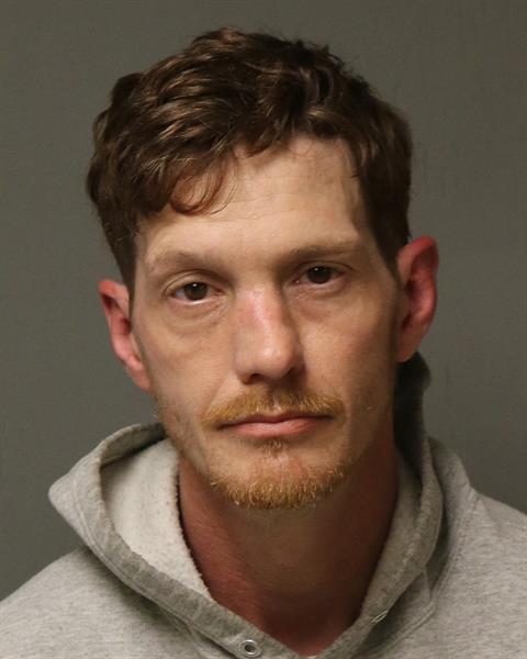 Booking photo - BRIAN GREGORY NEAL - Dublin, Virginia