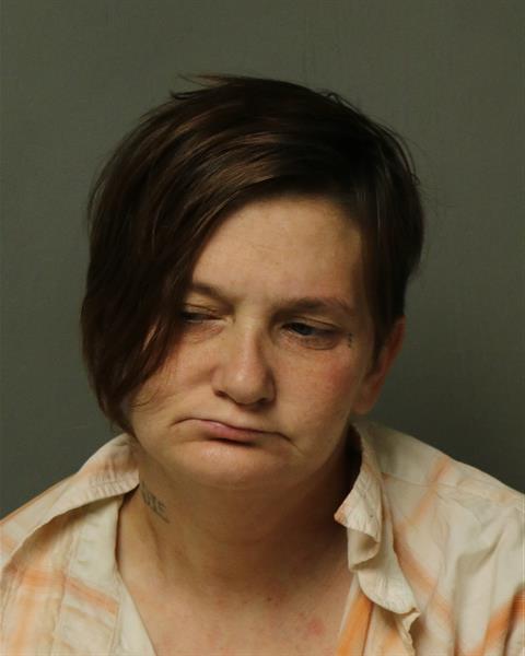 Booking photo - GOLDIE MARIE PAGE - Dublin, Virginia