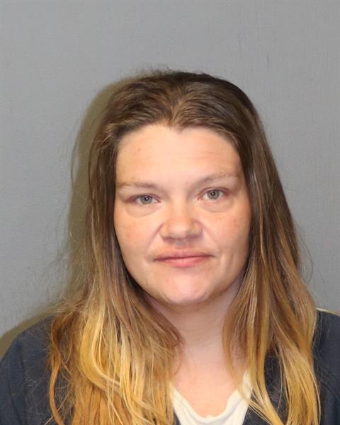 Booking photo - KELLEY ANN PORTER - Dublin, Virginia
