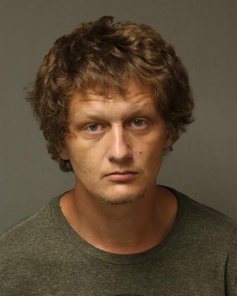 Booking photo - ADAM MITCHEL PROFFITT - Dublin, Virginia