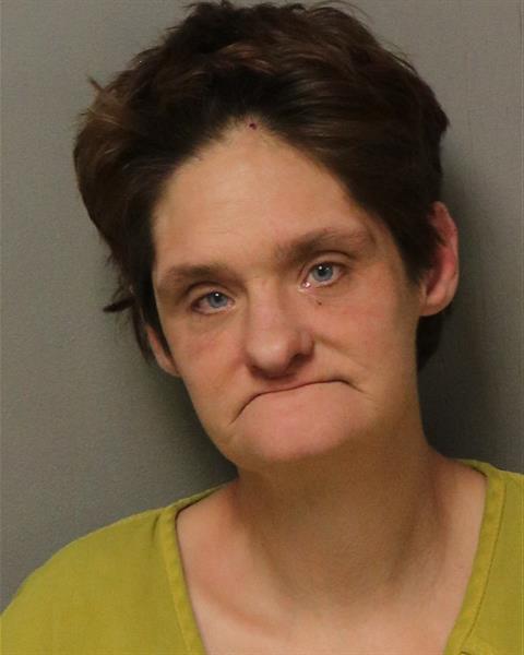 Booking photo - QUESENBERRY, CYNTHIA MARIE - Dublin, Virginia