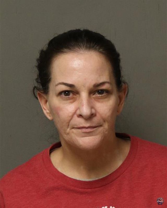 Booking photo of HEIDI TISI REITANO