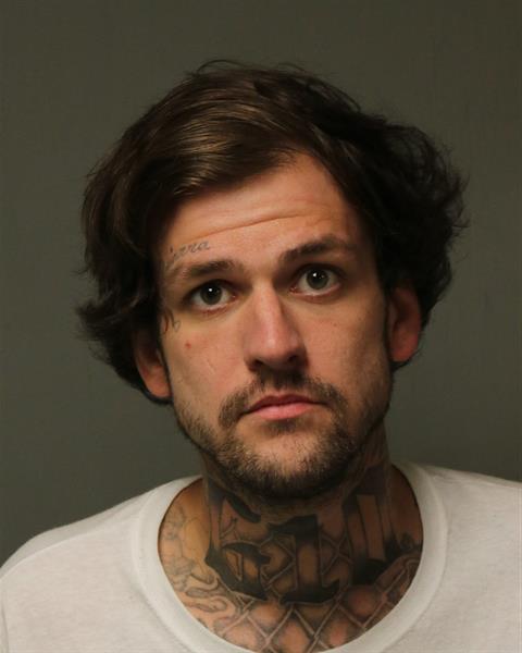 Booking photo - STEVEN LEO REPASI - Dublin, Virginia