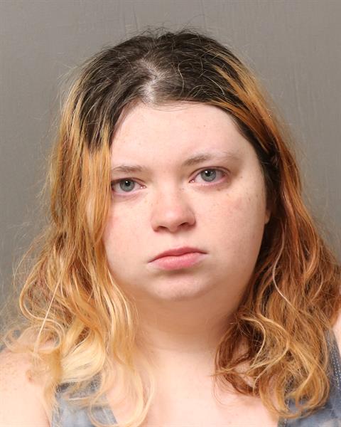 Booking photo - KALYNDA MARIE ROGERS - Dublin, Virginia