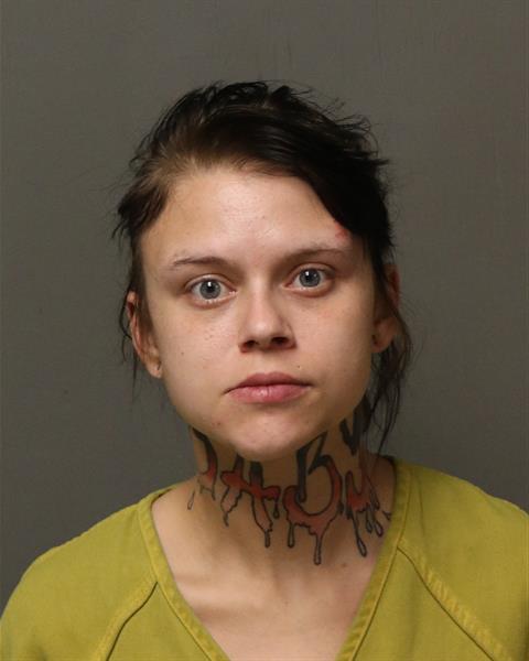 Booking photo - KRISTA MADISON RUDD - Dublin, Virginia