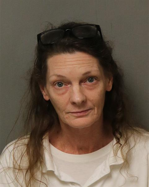 Booking photo - DEBBIE PARKS SEMONES - Dublin, Virginia