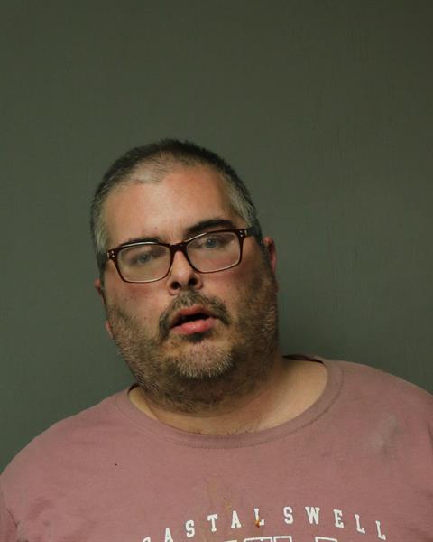 Booking photo - SHELBURNE, TERRY DONALD - Dublin, Virginia