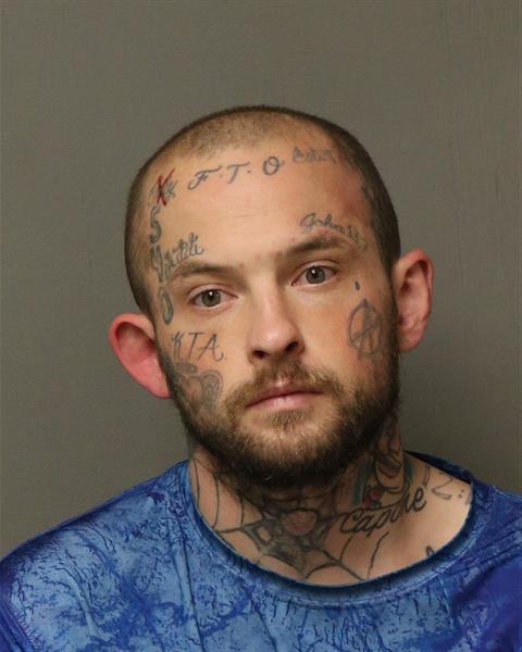 Booking photo - DEVON RUSSELL LEE SHEWEY - Dublin, Virginia