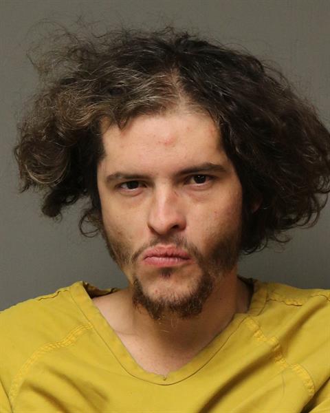 Booking photo - DAKOTA LEWIS SIRT - Dublin, Virginia