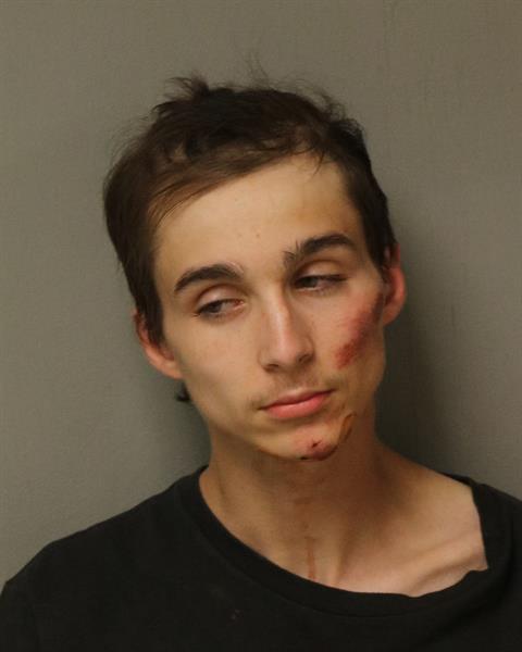 Booking photo - THOMAS, RAYMOND NEAL - Dublin, Virginia